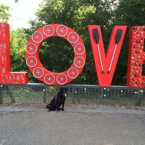 Meet your Posher, Suzanne